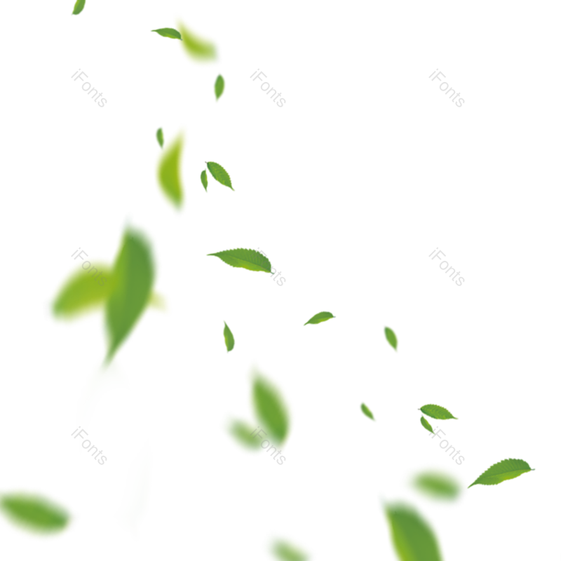 装饰图片,元素元素,竹叶PNG,素材免抠素材